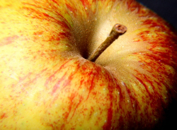apple close up